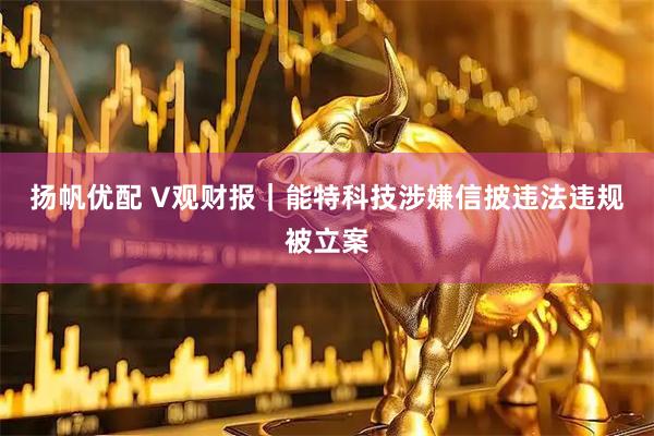 扬帆优配 V观财报｜能特科技涉嫌信披违法违规被立案